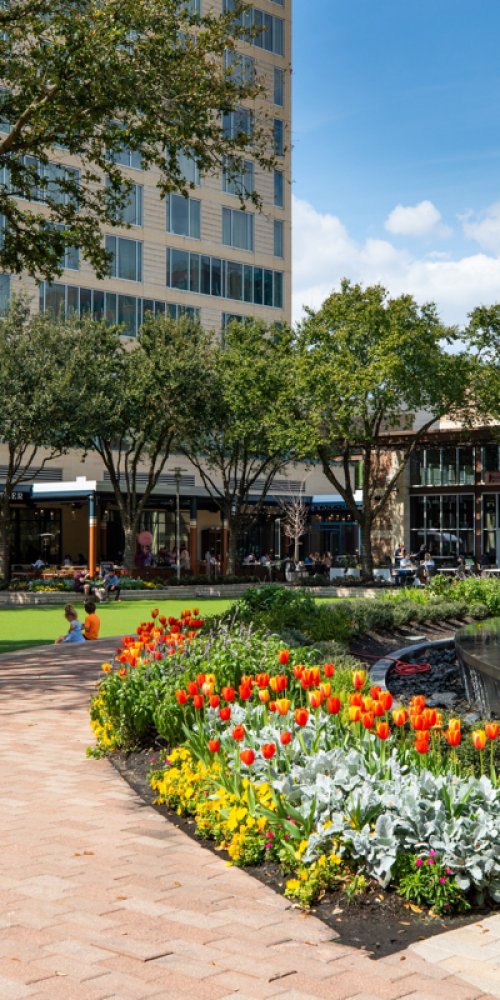 Getting around Houston