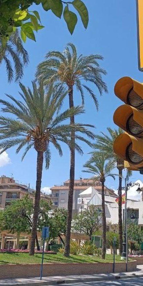 Street scene in Molina de Segura, ES