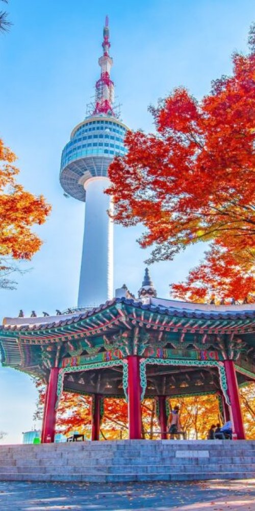 Seoul Metro map or bike-share scene