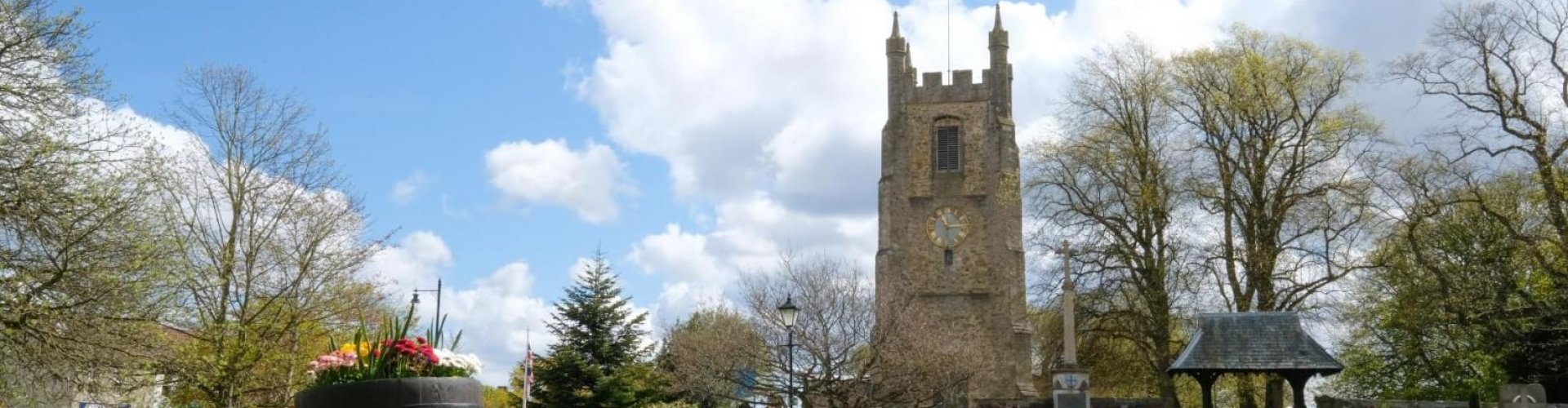 Sedgefield landscape