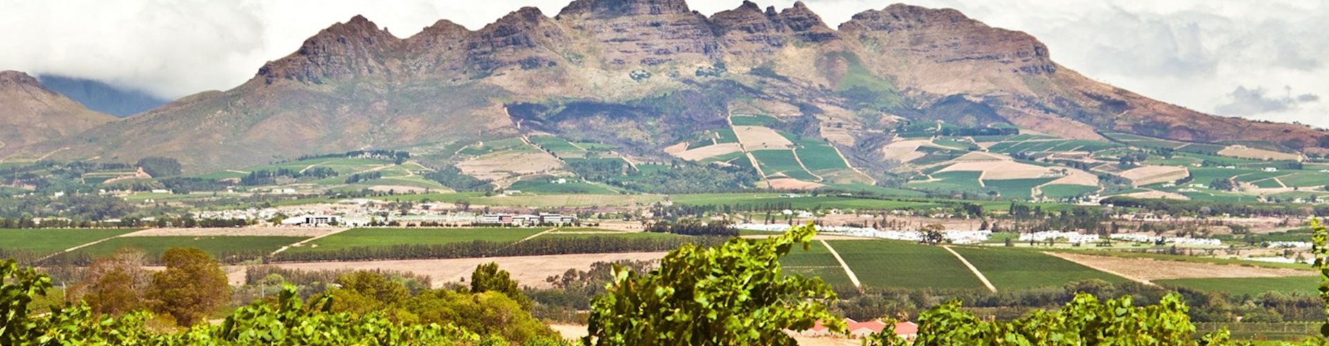 Landscape view of Stellenbosch vineyards and mountains