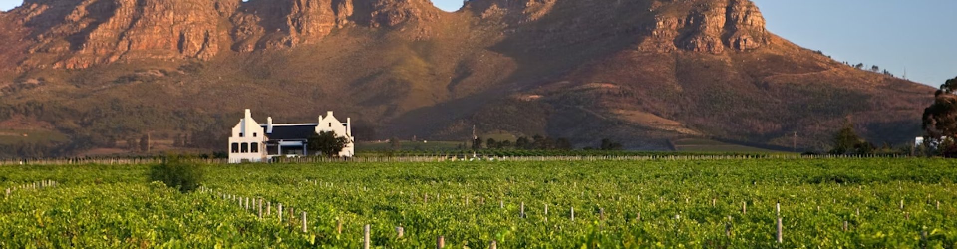 Stellenbosch, ZA
