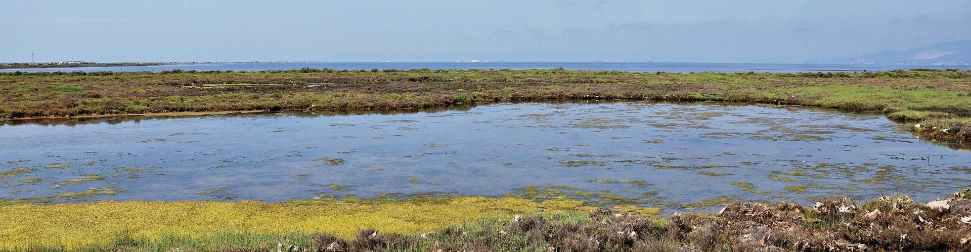 Scenic Amposta, ES landscape