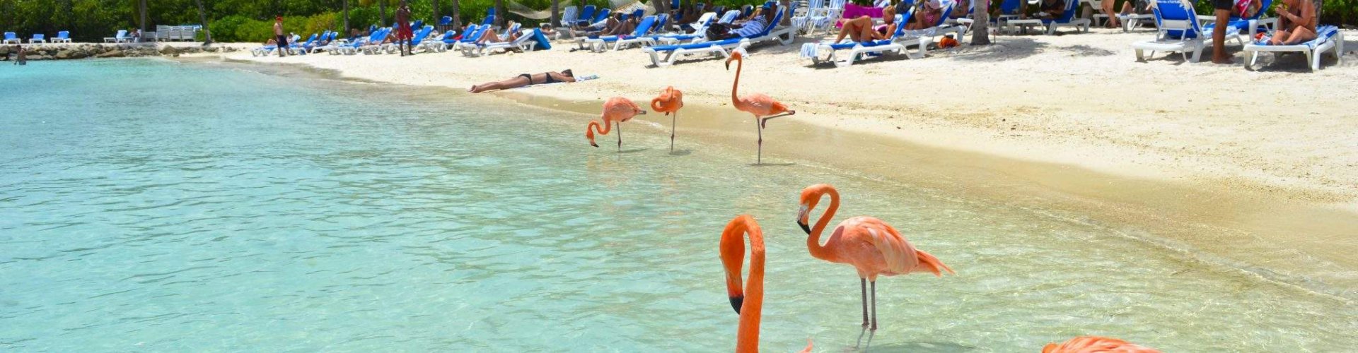 Aruba, AW